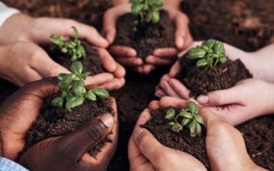 Do What You Can, Not What You Can’t